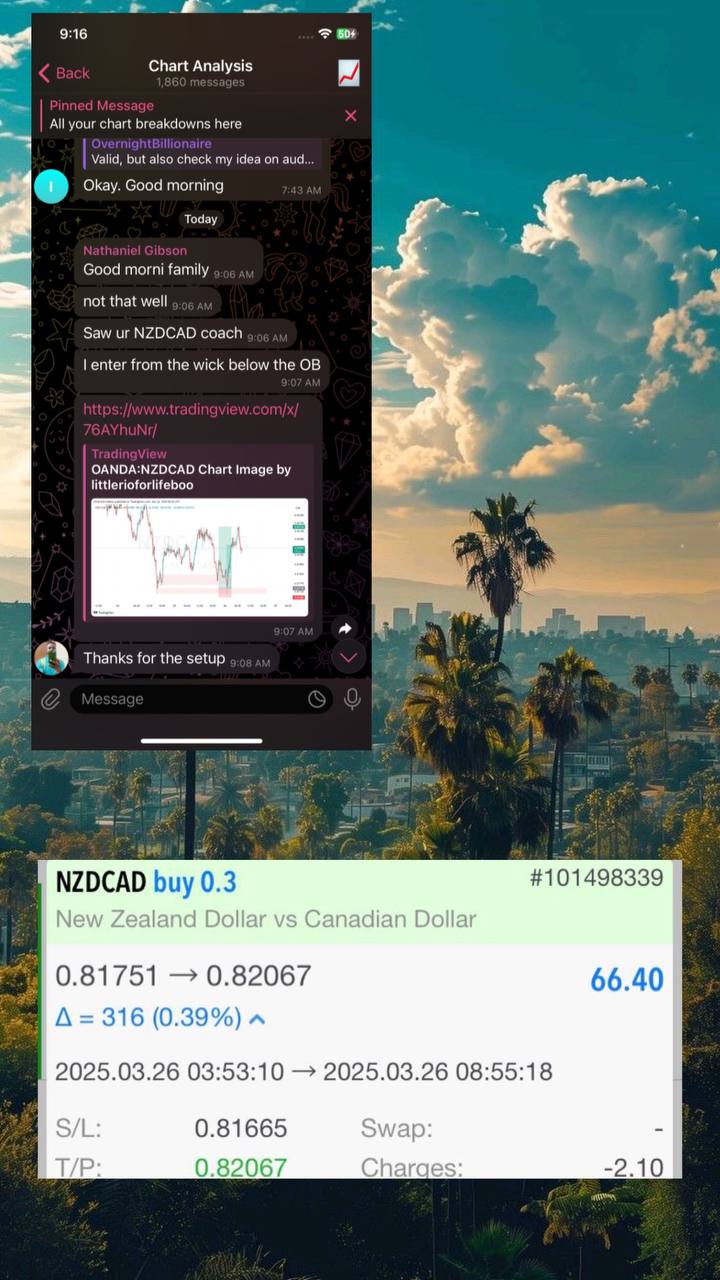 Trader Testimonial 4